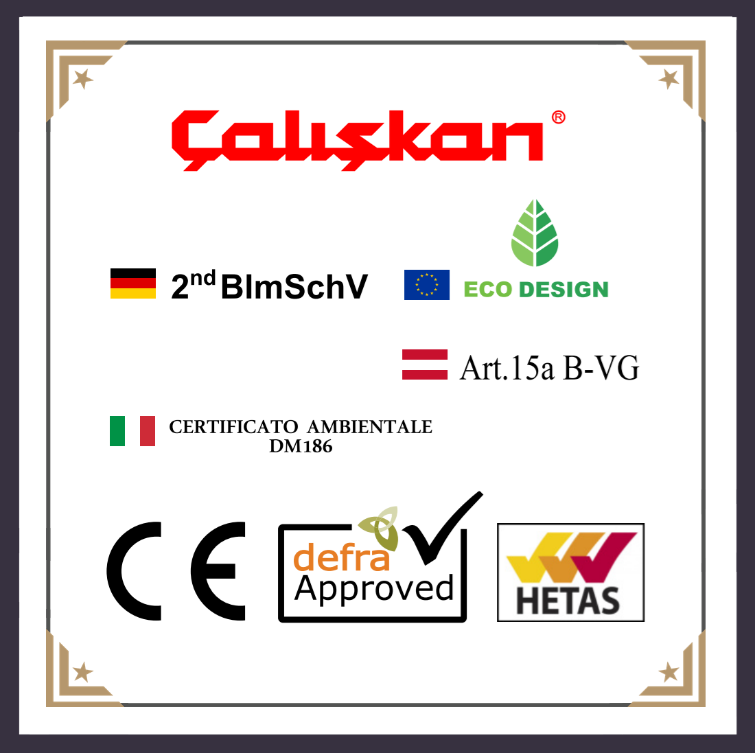 CALISKAN 216 – Gusseisen Holzofen mit Backofen und Kochplatte – 8,4 kW
